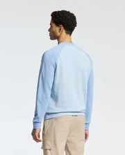 A man with curly hair, seen from behind, wears the Psycho Bunny MENS ARCHIE MELANGE COLOR BLOCK SWEATSHIRT. This light blue top has darker blue raglan sleeves and beige cargo pants. An embroidered Bunny adds a playful touch while he stands against a plain white background.