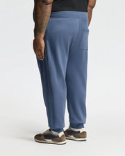 PANTALON EN MOLLETON ESSENTIEL LEVY TAILLE GRAND ET COSTAUD