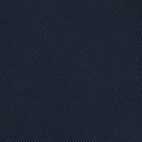 color_swatch