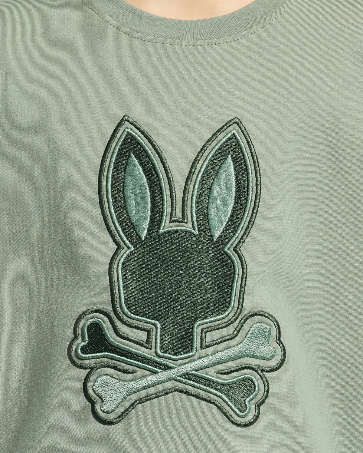 Kids | Kids' New Castle Embroidered Graphic Tee in green by Psycho Bunny, featuring a bold embroidered logo for a stylish, standout look.