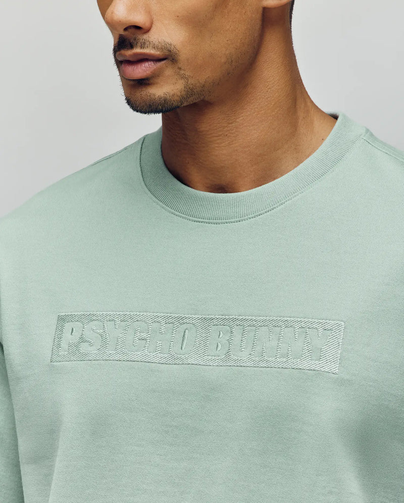 A man wears the Psycho Bunny MENS ZAYN OVERSIZED GRAPHIC TEE (MT0200004), a light green heavyweight jersey with "PSYCHO BUNNY" embroidered across the chest. Only his lower face, neck, and upper torso are visible in the cropped photo.