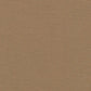 color_swatch 