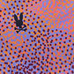 color_swatch